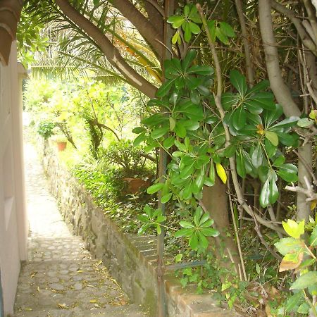 Sunflower Cosy Cottage Once Girasole Monterosso al Mare Exterior photo